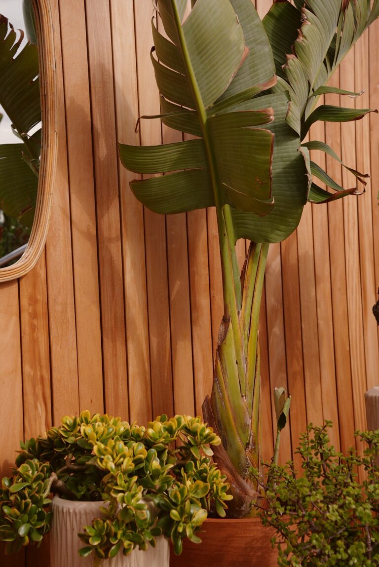 868531C8-B9D9-40DB-9C48-AE274DCF90B0